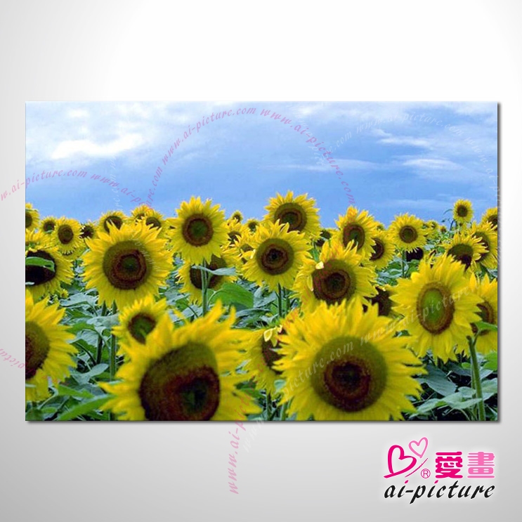 太陽花向日葵6 陽光般燦爛 正能量 抽象油畫 裝飾品 山水畫品 藝術品 畫飾 無框畫 室內設計最愛